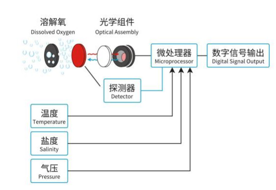 水質溶解氧傳感器工作原理